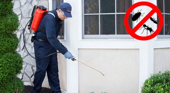 Sivrice Bit İlaçlama böcek ilaçlama ve haşere kontrolü — ilaclama-tr.com